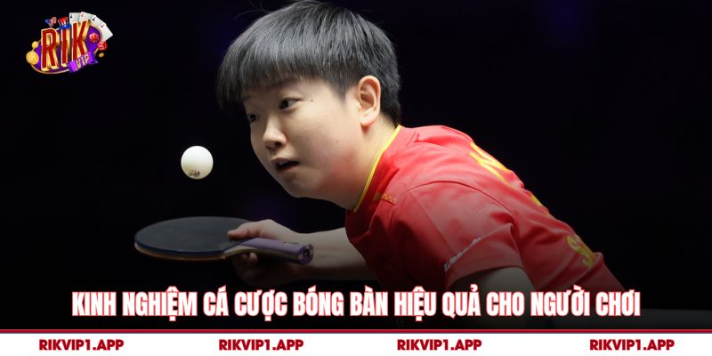 Kinh Nghiệm Cá Cược Bóng Bàn Hiệu Quả Cho Người Chơi