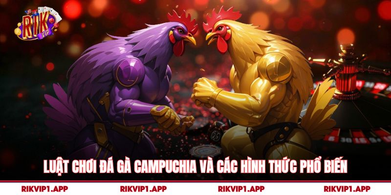 Luật Chơi Đá Gà Campuchia Và Các Hình Thức Phổ Biến